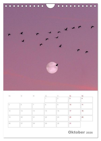 Produktbild: VOLLMOND-Planer - Im Licht der Nacht (Wandkalender 2026 DIN A4 hoch), CALVENDO Monatskalender