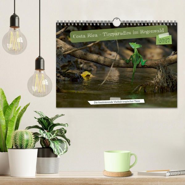 Produktbild: Costa Rica &ndash; Tierparadies im Regenwald (Wandkalender 2027 DIN A4 quer), CALVENDO Monatskalender