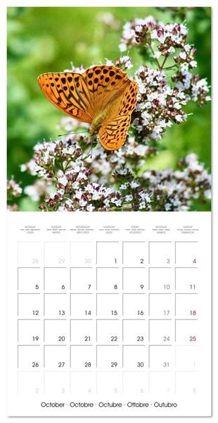 Produktbild: Gentle butterflies (Wall Calendar 2026 12 &times; 12 Inch) CALVENDO 12 Month Wall Calendar