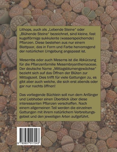 Produktbild: Mesembs - mehr als nur Lithops