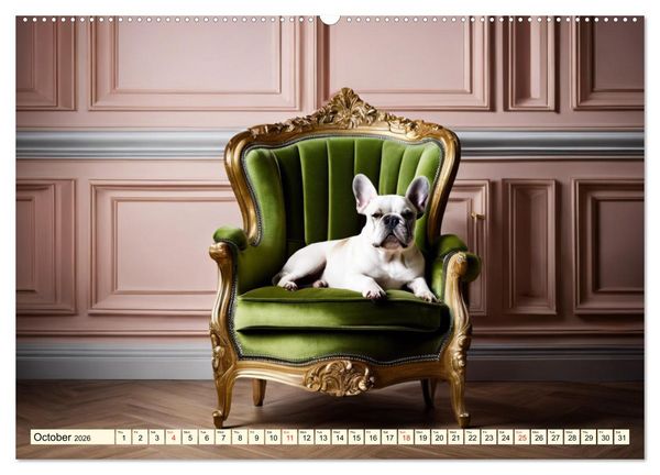 Produktbild: Little kings - French Bulldogs (Wall Calendar 2026 DIN A2 landscape), CALVENDO 12 Month Wall Calendar