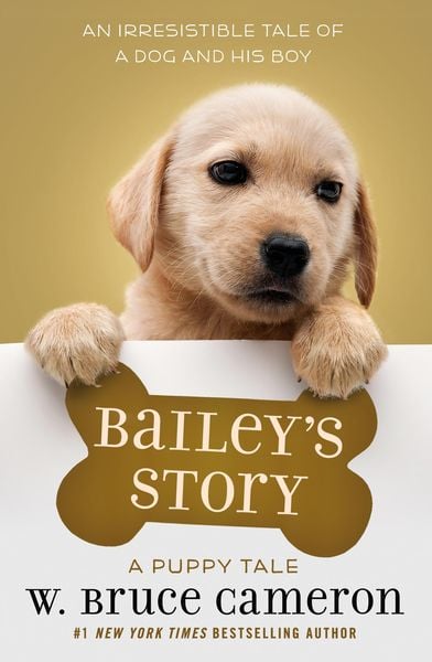 Produktbild: Bailey's Story
