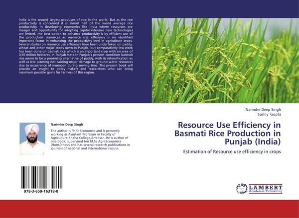 Produktbild: Resource Use Efficiency in Basmati Rice Production in Punjab (India)