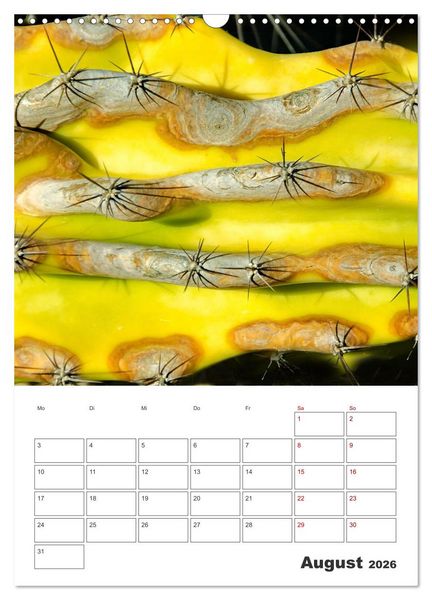 Produktbild: Dornige Sch&ouml;nheiten - Kakteen und Sukkulenten (Wandkalender 2026 DIN A3 hoch), CALVENDO Monatskalender
