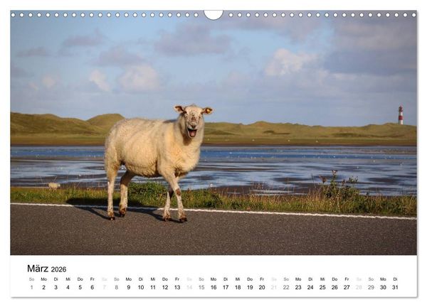 Produktbild: Sylt, der nordfriesische Inseltraum (Wandkalender 2026 DIN A3 quer), CALVENDO Monatskalender