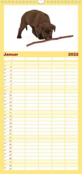 Produktbild: Familienplaner Labrador - Welpen (Wandkalender 2022 , 21 cm x 45 cm, hoch)