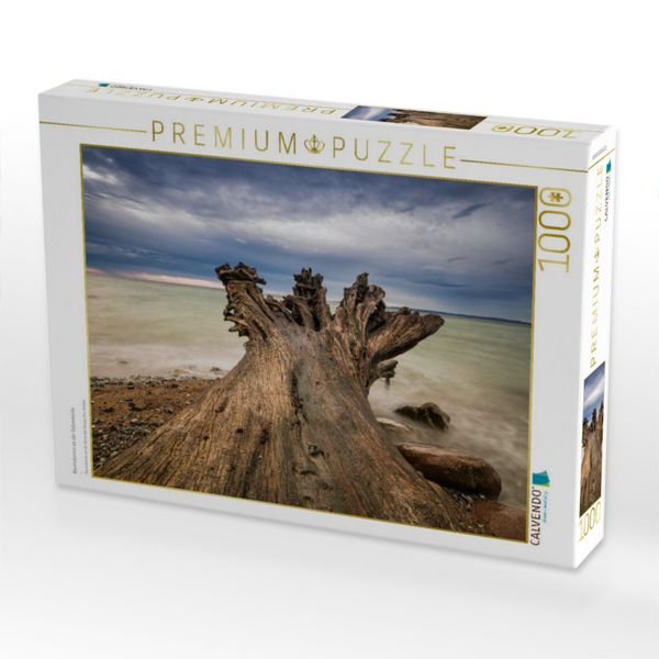 Produktbild: CALVENDO Puzzle Baumstamm an der Ostseek&uuml;ste | 1000 Teile Lege-Gr&ouml;&szlig;e 64x48cm Foto-Puzzle f&uuml;r gl&uuml;ckliche Stunden