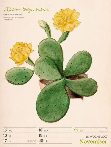 Produktbild: Ars Floralis Wochenplaner Kalender 2027