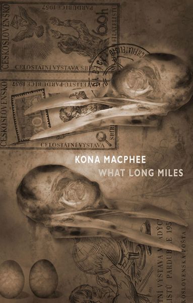 Produktbild: What Long Miles