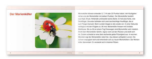 Produktbild: Ich kenne Insekten und Spinnen - Sch&uuml;lerarbeitsheft f&uuml;r die 2. bis 4. Klasse
