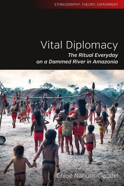 Produktbild: Vital Diplomacy