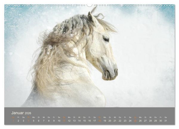 Produktbild: FANTASY Pferde Horses Caballos (hochwertiger Premium Wandkalender 2026 DIN A2 quer), Kunstdruck in Hochglanz