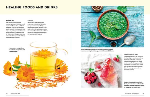 Produktbild: Plants That Heal Hb