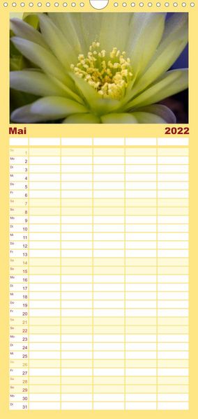 Produktbild: Bl&uuml;tensymphonie - Kakteen und Sukkulenten - Familienplaner hoch (Wandkalender 2022 , 21 cm x 45 cm, hoch)