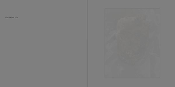 Produktbild: Nachbilder - Afterimages
