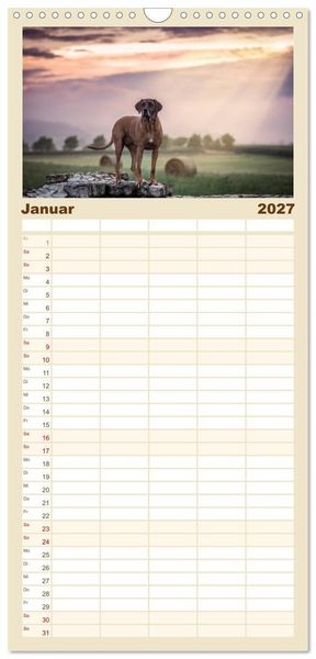 Produktbild: Familienplaner 2027 - Rhodesian Ridgeback - Herzen auf vier Pfoten mit 5 Spalten (Wandkalender, 21 x 45 cm) CALVENDO