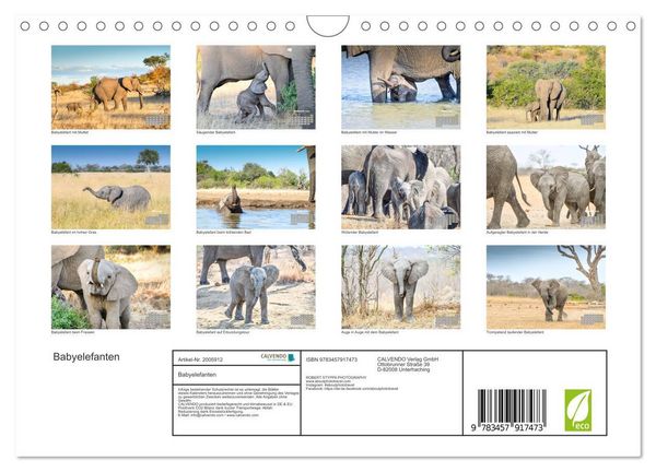 Produktbild: Babyelefanten (Wandkalender 2026 DIN A4 quer), CALVENDO Monatskalender
