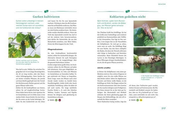 Produktbild: G&auml;rtnern f&uuml;r Gartenneulinge