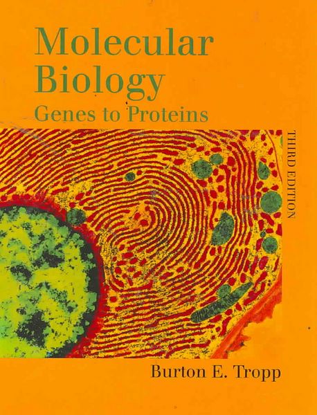 Produktbild: Molecular Biology: Genes to Proteins