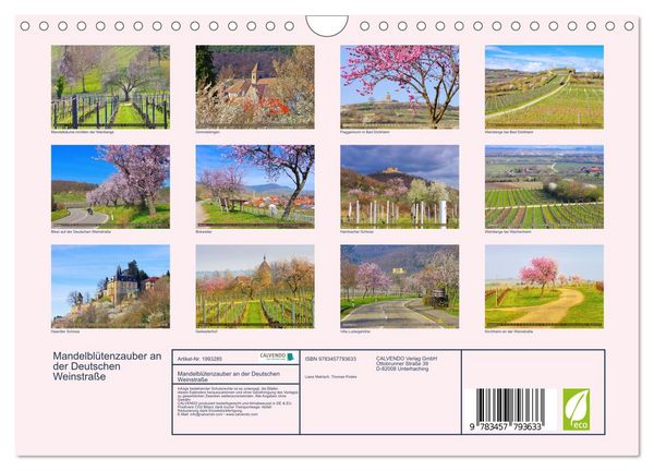 Produktbild: Mandelbl&uuml;tenzauber an der Deutschen Weinstra&szlig;e (Wandkalender 2026 DIN A4 quer), CALVENDO Monatskalender