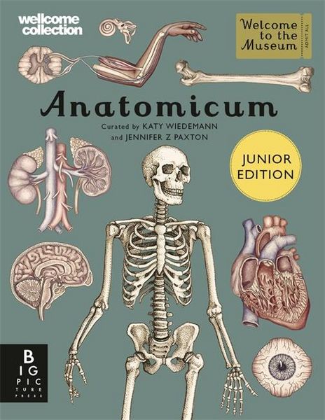 Produktbild: Anatomicum Junior
