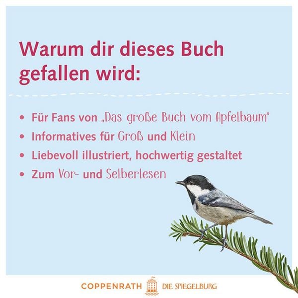 Produktbild: Das gro&szlig;e Buch vom Tannenbaum