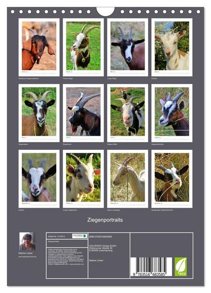 Produktbild: Ziegenportraits (Wandkalender 2026 DIN A4 hoch), CALVENDO Monatskalender