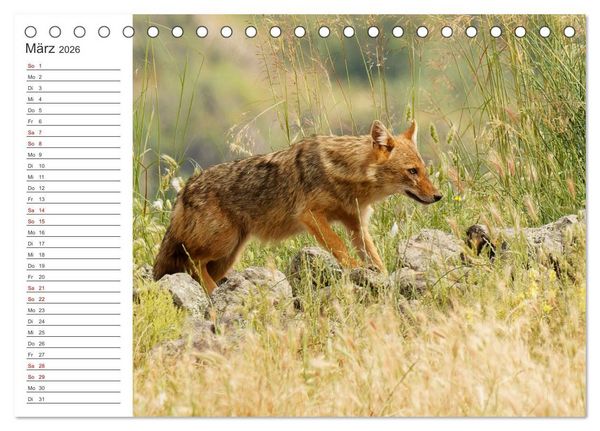Produktbild: Faszinierendes Bulgarien (Tischkalender 2026 DIN A5 quer), CALVENDO Monatskalender