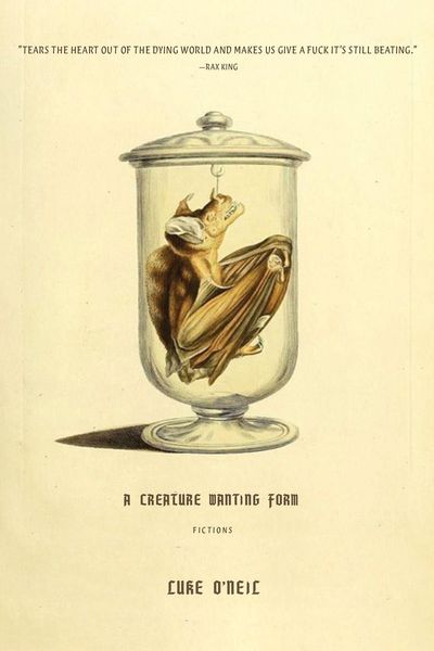 Produktbild: A Creature Wanting Form