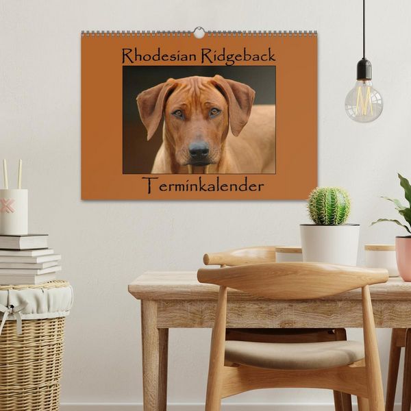 Produktbild: Rhodesian Ridgeback Terminkalender (Wandkalender 2026 DIN A3 quer), CALVENDO Monatskalender