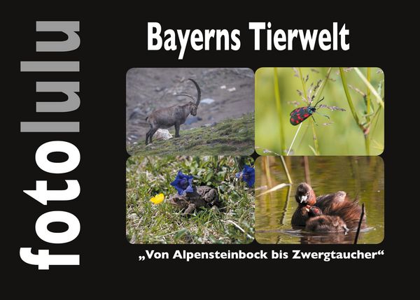 Produktbild: Bayerns Tierwelt