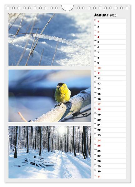 Produktbild: Zauberhafte Farben der Natur (Wandkalender 2026 DIN A4 hoch), CALVENDO Monatskalender