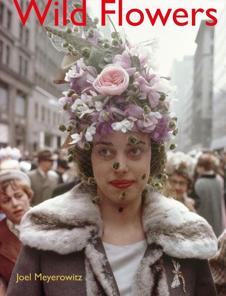 Produktbild: Meyerowitz, J: Joel Meyerowitz: Wild Flowers