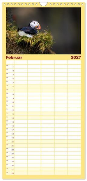Produktbild: Familienplaner 2027 - Puffins - Papageientaucher auf Island mit 5 Spalten (Wandkalender, 21 x 45 cm) CALVENDO