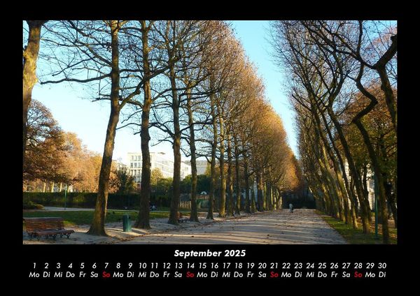 Produktbild: B&auml;ume 2025 Fotokalender DIN A3