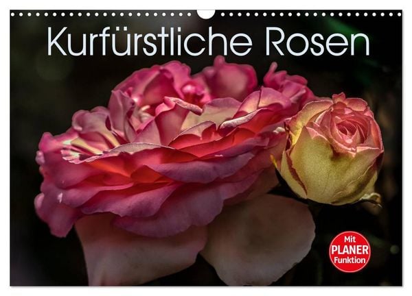 Produktbild: Kurf&uuml;rstliche Rosen Eltville am Rhein (Wandkalender 2026 DIN A3 quer), CALVENDO Monatskalender