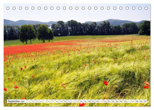 Produktbild: Naturlandschaft Laacher See (Tischkalender 2026 DIN A5 quer), CALVENDO Monatskalender