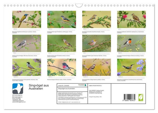 Produktbild: Singv&ouml;gel aus Australien (Wandkalender 2026 DIN A3 quer), CALVENDO Monatskalender