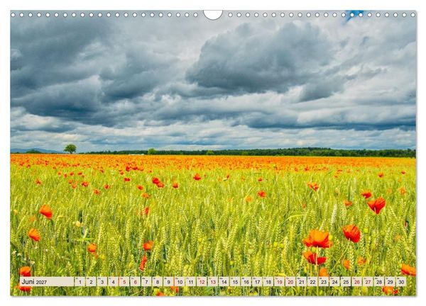 Produktbild: Freiburg Regio - Heimat in Bildern (Wandkalender 2027 DIN A3 quer), CALVENDO Monatskalender