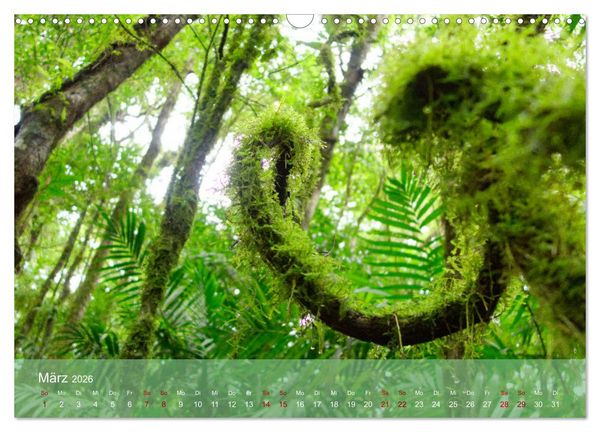 Produktbild: Entdecke Nicaragua (Wandkalender 2026 DIN A3 quer), CALVENDO Monatskalender