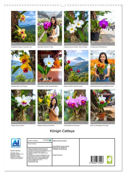 Produktbild: K&ouml;nigin Cattleya (hochwertiger Premium Wandkalender 2027 DIN A2 hoch), Kunstdruck in Hochglanz