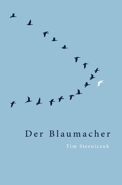 Der Blaumacher, Taschenbuch von Tim Sterniczuk, Epubli, 9783756518791