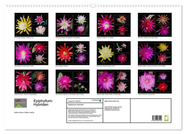 Produktbild: Epiphyllum-Hybriden (Wandkalender 2026 DIN A2 quer), CALVENDO Monatskalender