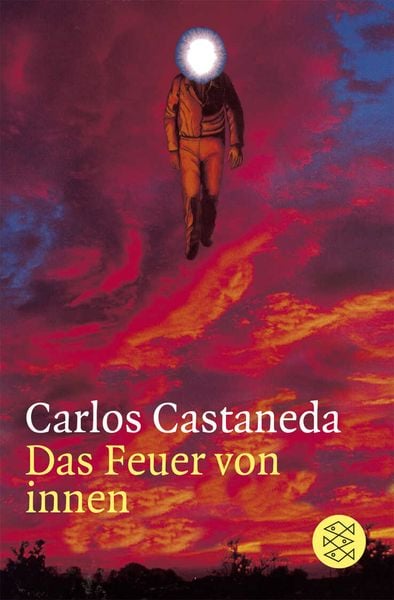 Produktbild: Das Feuer von innen