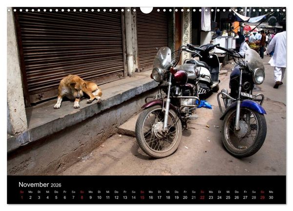 Produktbild: Stra&szlig;enhunde (Wandkalender 2026 DIN A3 quer), CALVENDO Monatskalender
