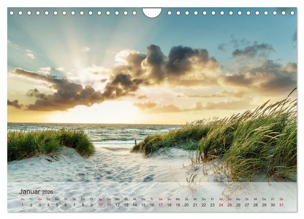 Produktbild: Moin Moin Sch&ouml;ne Stunden am Ostseestrand (Wandkalender 2026 DIN A4 quer), CALVENDO Monatskalender