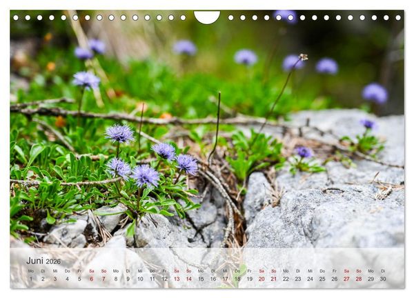 Produktbild: Alpenwelten-Zwischen Wetterstein und Karwendel (Wandkalender 2026 DIN A4 quer), CALVENDO Monatskalender