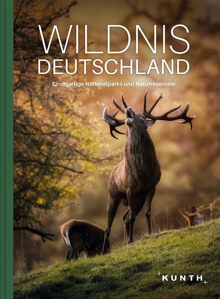 Produktbild: KUNTH Bildband Wildnis Deutschland