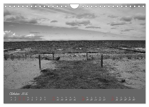 Produktbild: Wege zum Meer (Wandkalender 2026 DIN A4 quer), CALVENDO Monatskalender