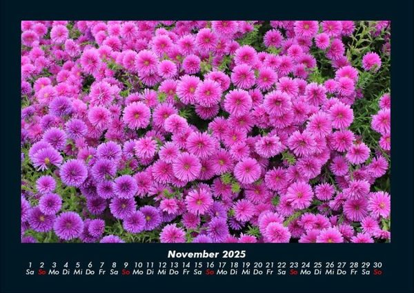 Produktbild: Pflanzen und Bl&uuml;ten 2025 Fotokalender DIN A4